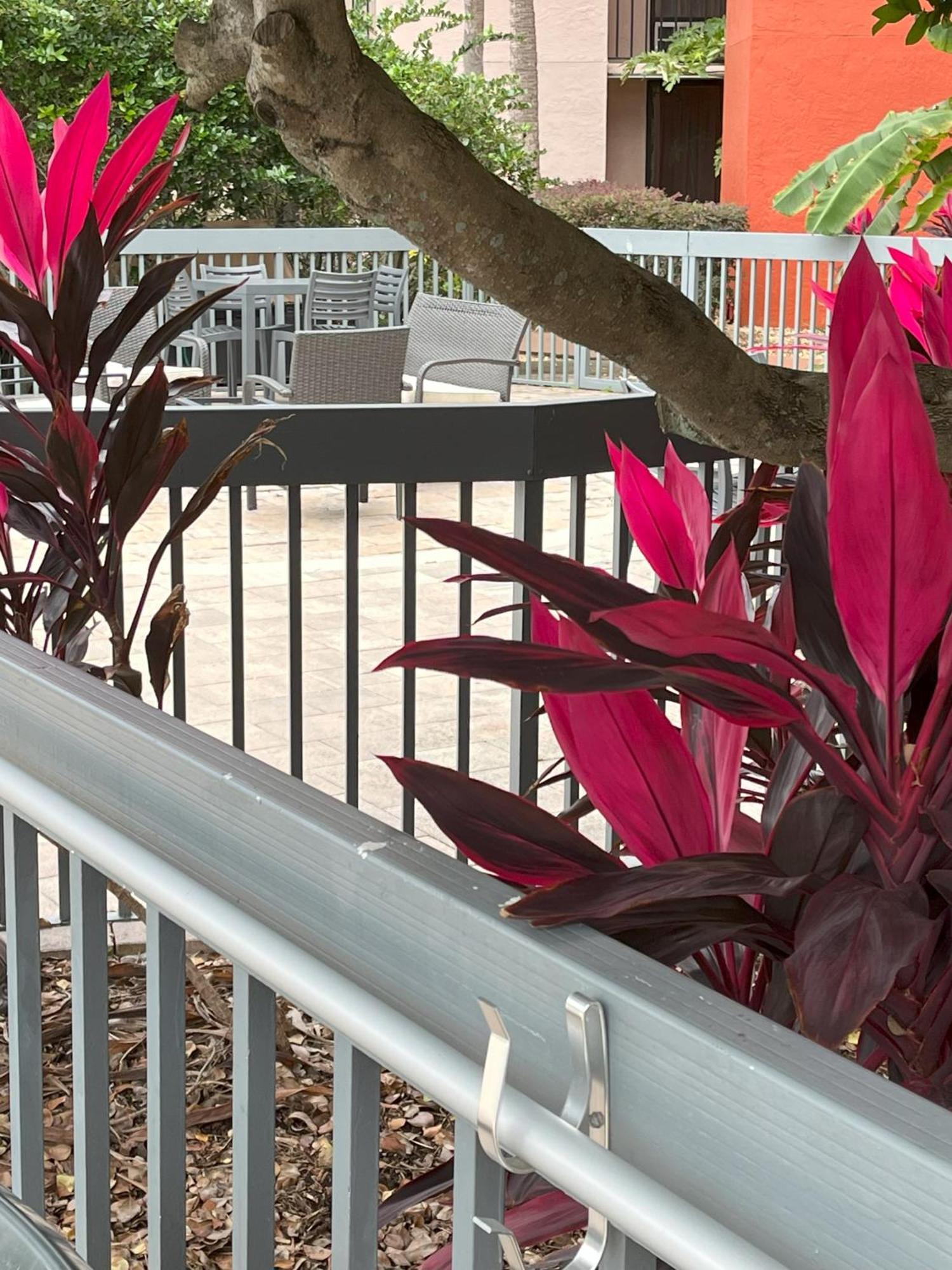 Grand Hotel Orlando At Universal Blvd - Shuttle To Theme Parks Exterior foto
